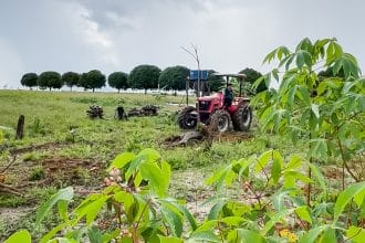 Agricultores recebem apoio da prefeitura em áreas rurais de Tartarugalzinho