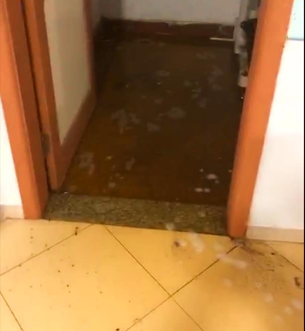 Chuva invade Hospital de Emergências, deixa corredores alagados e causa transtornos em Macapá; VÍDEO