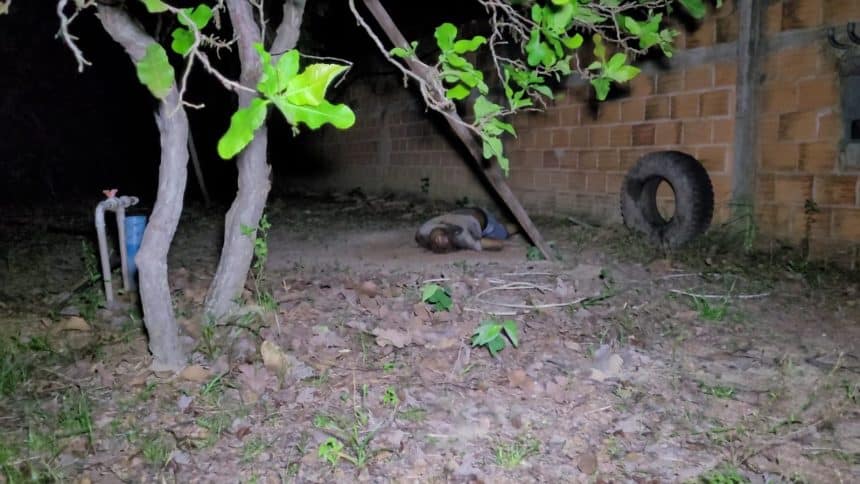 Corpo de homem é achado em estado de decomposição na linha E, do Km 9, em Macapá