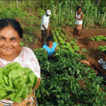 Júnior Favacho propõe espaço exclusivo dedicado às mulheres no agronegócio durante Expofeira