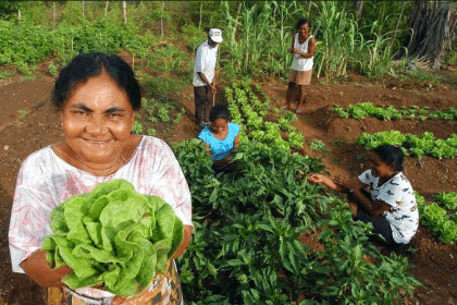 Júnior Favacho propõe espaço exclusivo dedicado às mulheres no agronegócio durante Expofeira