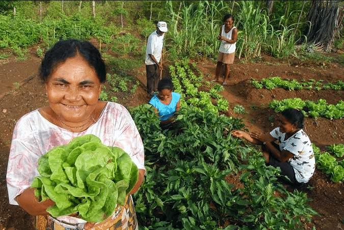 Júnior Favacho propõe espaço exclusivo dedicado às mulheres no agronegócio durante Expofeira