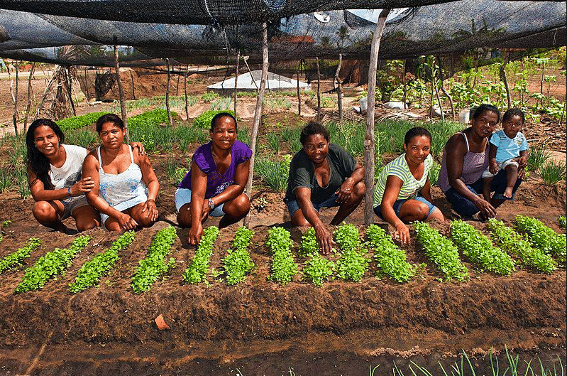 Júnior Favacho propõe espaço exclusivo dedicado às mulheres no agronegócio durante Expofeira