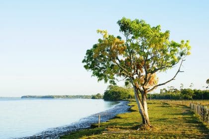 Jornada fotográfica vai explorar riquezas naturais do distrito do Aporema, em Tartarugalzinho