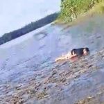 Corpo de jovem é encontrado na foz do Rio Vila Nova em Santana