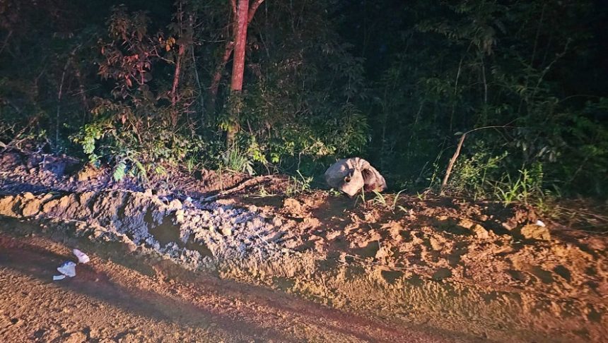 Polícia identifica corpo de mulher encontrada morta em área de mata no Ramal do Seringal