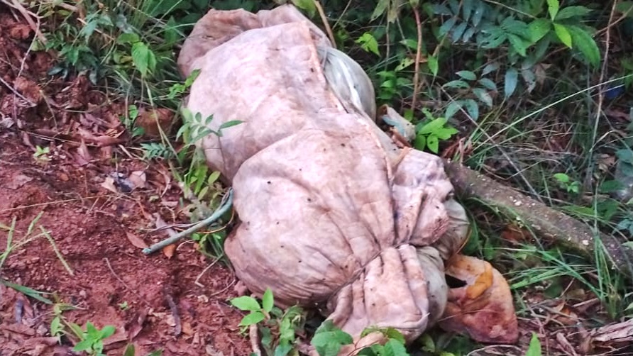 Corpo de mulher é encontrado em estado de decomposição amarrado a um colchão, na Zona Oeste de Macapá