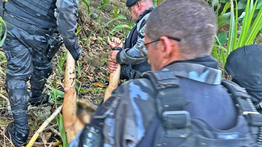 Acusado de roubo a banco morre durante confronto com militares do Bope