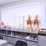 Faculdade Integrado de Macapá oferece 6 bolsas integrais de Medicina com prioridade para estudantes amapaenses 56 Faculdade Integrado de Macapá oferece 6 bolsas integrais de Medicina com prioridade para estudantes amapaenses