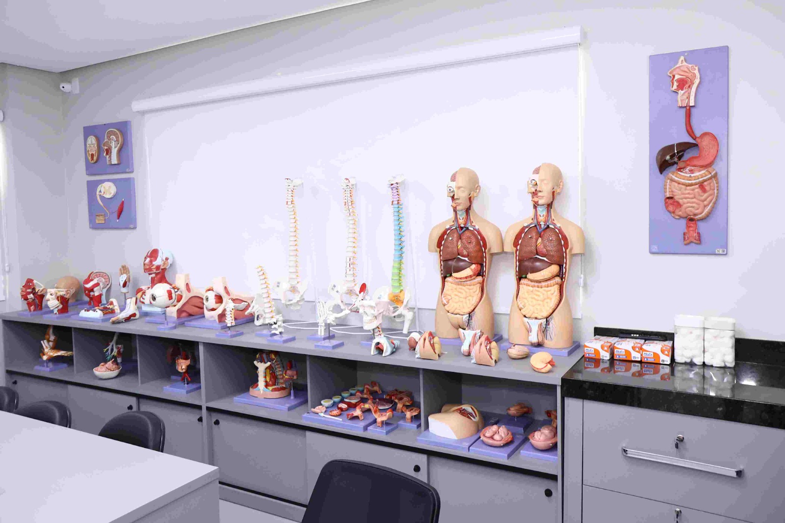 Faculdade Integrado de Macapá oferece 6 bolsas integrais de Medicina com prioridade para estudantes amapaenses 53 Faculdade Integrado de Macapá oferece 6 bolsas integrais de Medicina com prioridade para estudantes amapaenses