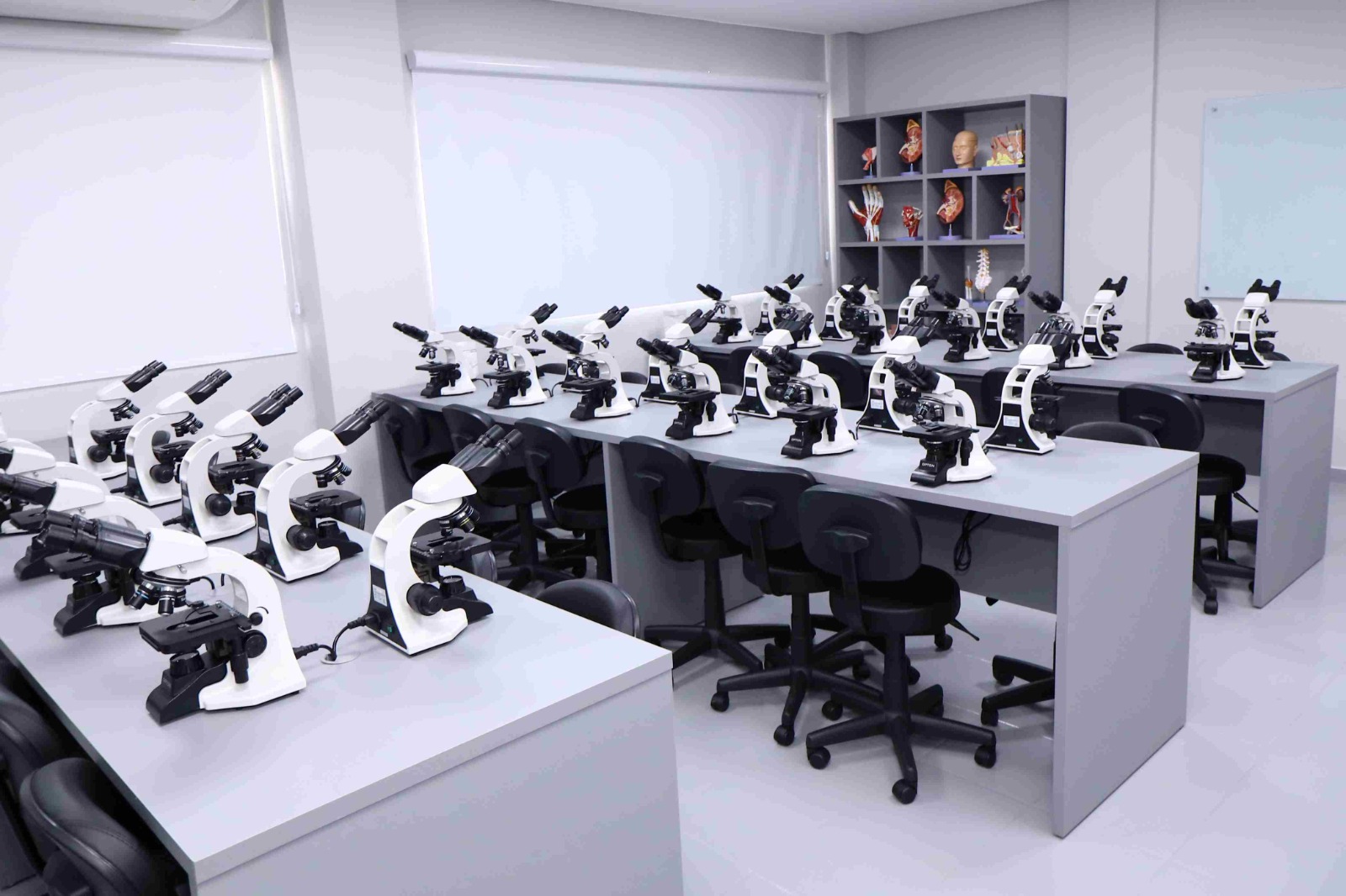 Faculdade Integrado de Macapá oferece 6 bolsas integrais de Medicina com prioridade para estudantes amapaenses 52 Faculdade Integrado de Macapá oferece 6 bolsas integrais de Medicina com prioridade para estudantes amapaenses