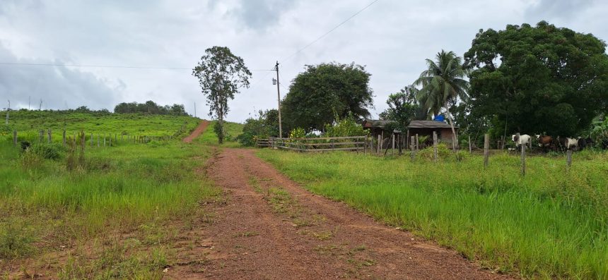 Justiça proíbe CEA Equatorial e Prefeitura de cobrarem taxa de iluminação pública de agricultora em Tartarugalzinho