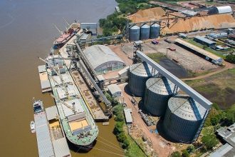 Amapá entra no mapa da soja e do milho e ganha força na nova rota logística da Amazônia