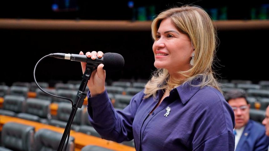 Conexão TEA+ será lançado em Macapá para ampliar atendimento a pessoas com autismo com apoio da deputada Aline Gurgel